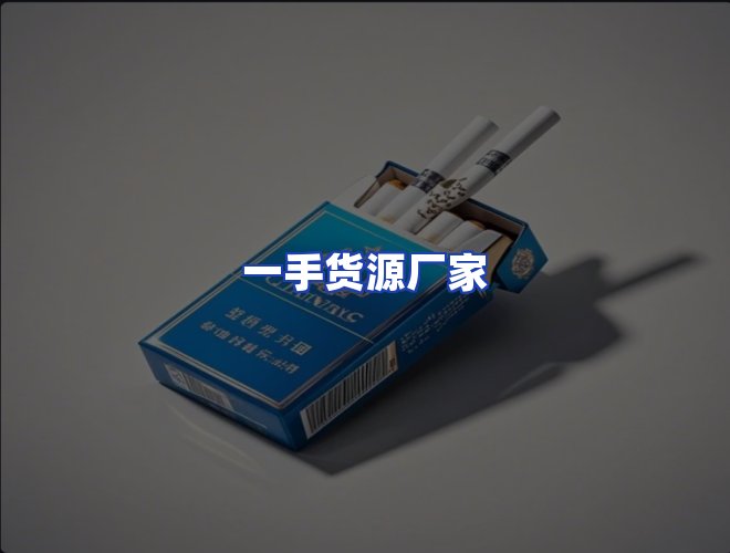 专业团队